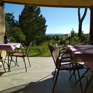 Il Lavandeto - In The Agroturismo Siena